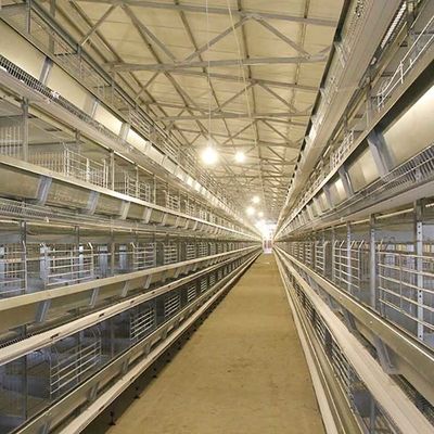 Otomatik Katman Kümes Hayvanları Yetiştiriciliği Ekipmanları Pil Tavuk Yumurtası Yumurta Kafesi Sistemi
