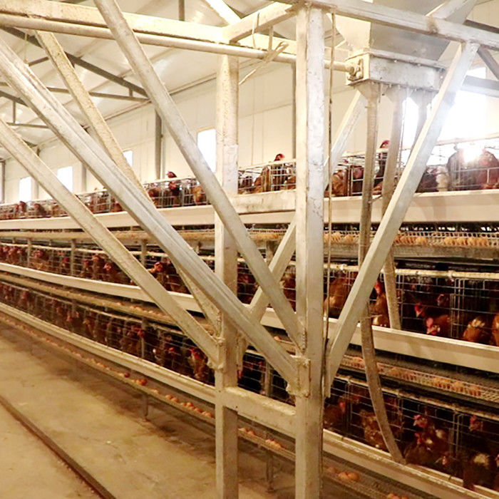 Büyük Ölçekli Çiftlik Yumurta Satış İçin Güçlü A Tipi Katmanlı Tavuk Kafesi Kolay Temizlenir