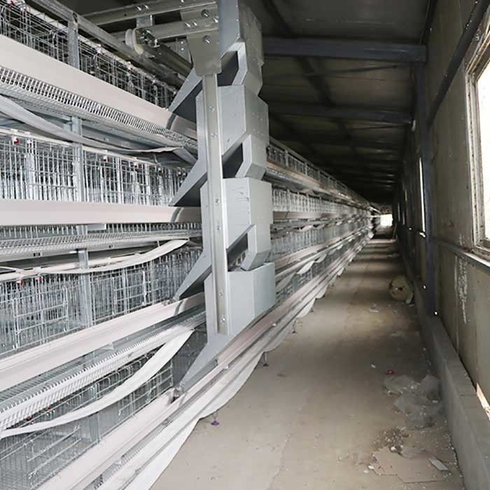 Kararlı Çalışan Kanatlı Katman Kafesi, Otomatik Kontrol Tavuk Kümesi Kafesi