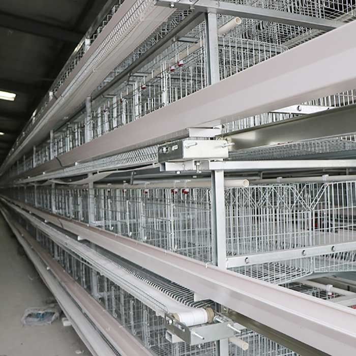 Tavukları Döşemek İçin Galvanizli Wrie Pil Kafesleri, Yumurta Tavuk Kafesi Emek Tasarrufu