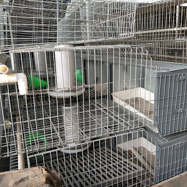 24 Hücreleri Pil İşletme Çiftliği Tavşan Kafesi İki Katlı Kolay Temizlik Dayanıklı