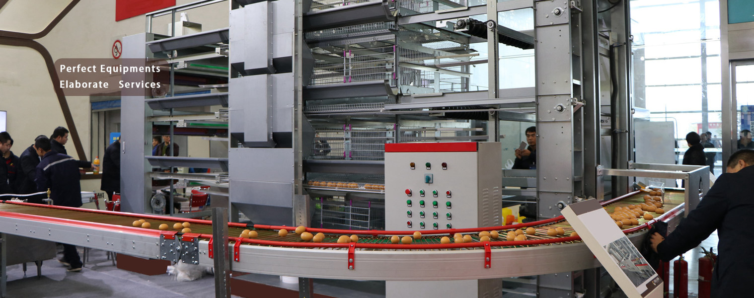 Kalite Kanatlı Tavuk Kafesi fabrika