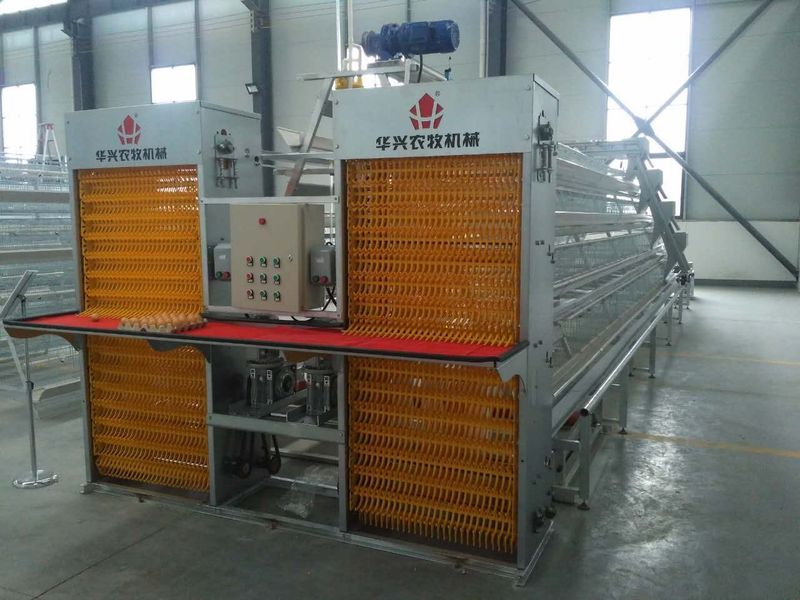 Henan Huaxing Poultry Equipments Co.,Ltd. fabrika üretim hattı
