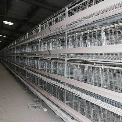 Kümes Yetiştiriciliği Tavukçuluk Pil Kafes Sistemi, Tavuk İçin Bir Tip Katman Kafesleri