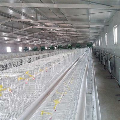 Yüksek Verimli Broyler Tavuk Kafesi Uzun Ömürlü Çevre Dostu