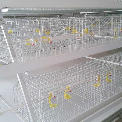 Tavuk için Yanmaz Çelik Kafes, Kapalı Broyler Çiftlik Kafesi Tavukçuluk