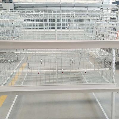 Kararlı Performanslı Broyler Tavuk Kafesi Kolay Temizlenir 20-25 Yıl Garanti
