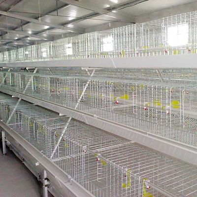 Besleme / EC Sistemi ile Gümüş Beyaz Broyler Tavuk Kafesi Yüksek Sıcaklığa Dayanıklı