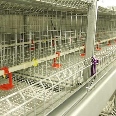 195 * 50 * 35 CM Civciv Brooder Kafes, Yüksek Verimli Kafes Katmanlı Tarım
