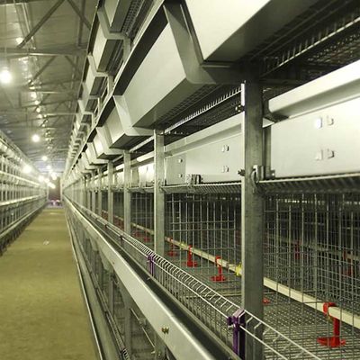 Kümes Hayvanları Yetiştiriciliği Tavuk Kafesi Tel, Yüksek Sıcaklığa Dayanıklı Yüksek Teknoloji Tavuk Kafesi