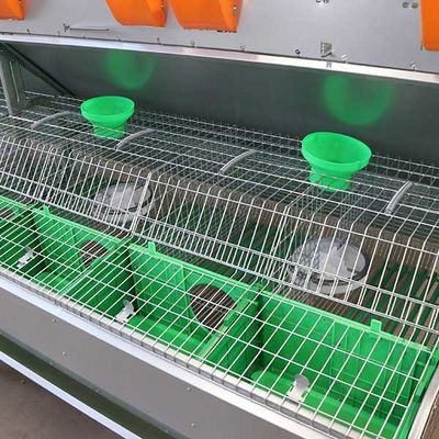 Rahat Akıllı Çiftlik Tavşan Kafesi Q235 Çelik Tel / Plastik Malzeme