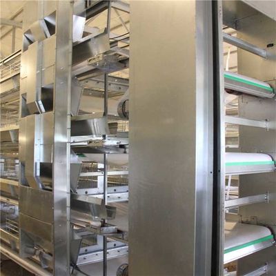 Mekanik Hayvancılık Ekipmanları, Gübre Kaldırma Pil Kafesi Sistemi