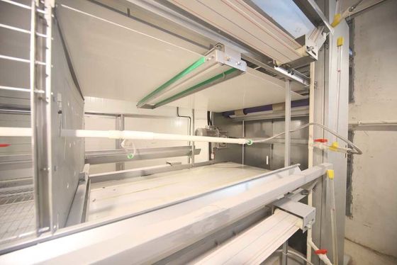 2.3mm - 4.2mm Hasır Kafes, Yüksek Verimli Kuş Kafesi Tel 25 Yıl Hizmet Ömrü