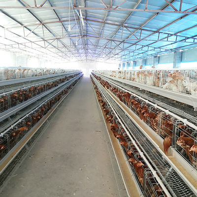 Satılık A Tipi Pil Kafes Sistemi Katmanlı Tavuk Tavuk Katman Kafesi