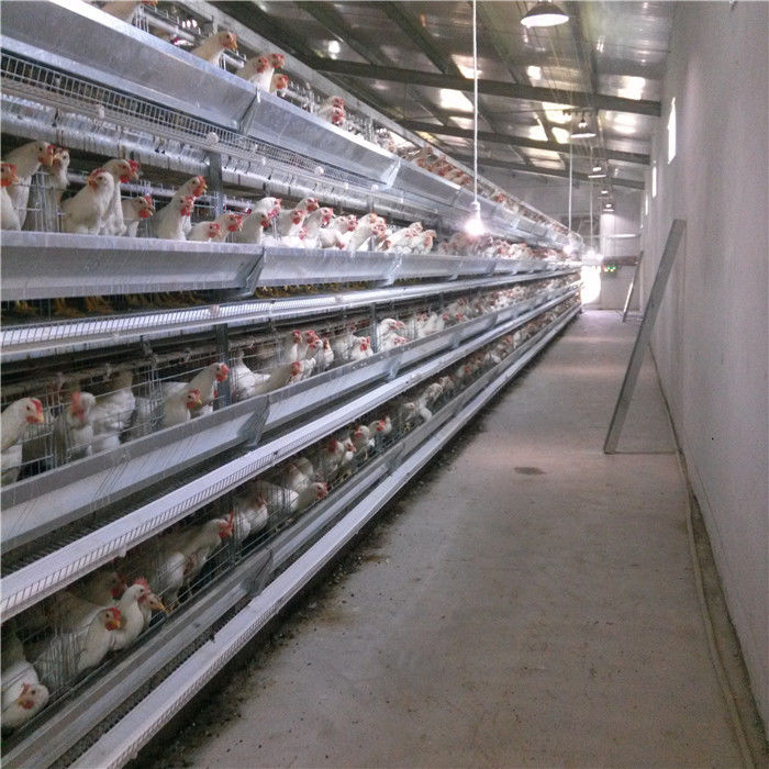 Bir Günlük 5 Kapılı Bebek Civciv Kafesi H Tavuklar İçin 4 Katlı Kuluçkalık