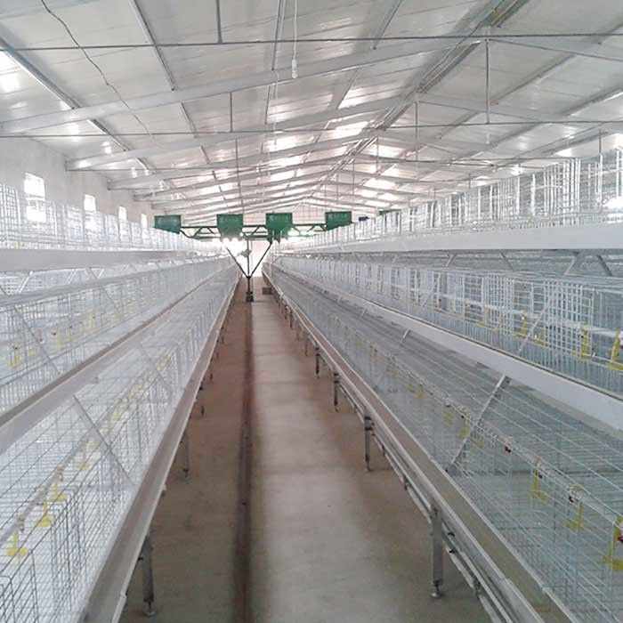 4 Katlı 8 Kapılı Etlik Piliç Kafesi Q235 Soğuk Çekilmiş Tel Kaynak Büyük Esneklik