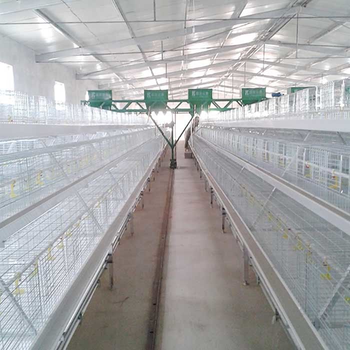 Sıcak Daldırma Broiler Tavuk Kafesi Sistemi, Q235 Çelik Yüksek Teknoloji Kanatlı Kafesi