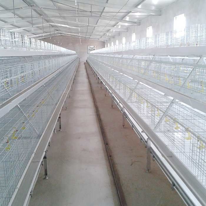 4 Katlı 8 Kapılı Etlik Piliç Kafesi Q235 Soğuk Çekilmiş Tel Kaynak Büyük Esneklik
