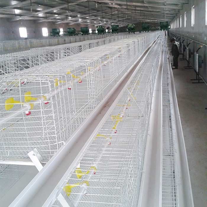 Besleme / EC Sistemi ile Gümüş Beyaz Broyler Tavuk Kafesi Yüksek Sıcaklığa Dayanıklı
