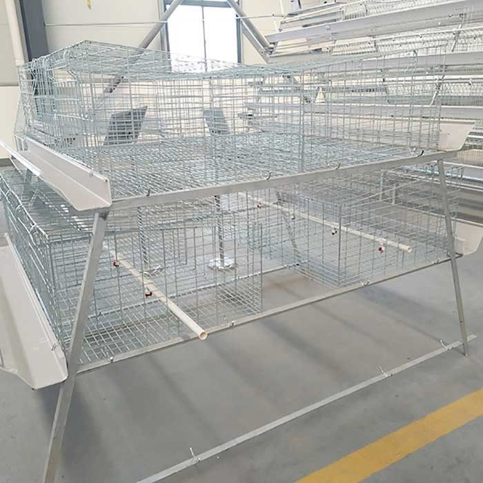 Tavuk için Yanmaz Çelik Kafes, Kapalı Broyler Çiftlik Kafesi Tavukçuluk