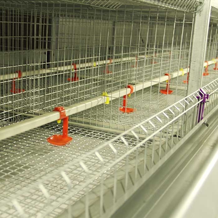 Çiftlik için Sert Q235 Çelik Bebek Civciv Kafesi Çok Kapılı Yüksek Performans