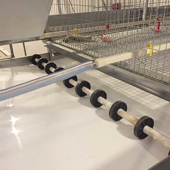 Otomatik İçme Sistemli Galvanizli Q235 Çelik Bebek Civciv Kafesi A Tipi Yapı