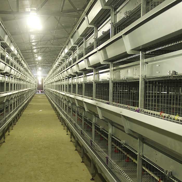 Kümes Hayvanları Yetiştiriciliği Tavuk Kafesi Tel, Yüksek Sıcaklığa Dayanıklı Yüksek Teknoloji Tavuk Kafesi