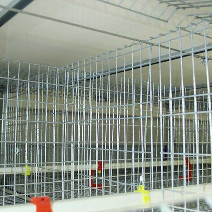 Yüksek Verimli Bebek Civciv Kafesi Büyük Kapasiteli Temizlemesi Kolay ISO9001 Onayı