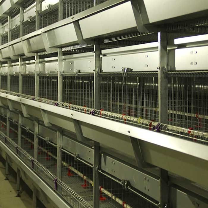 Galvanizli Çelik Kümes Hayvanları İçin Bir Kafes, Otomatik Merdiven Katlı Tavuk Kafesi