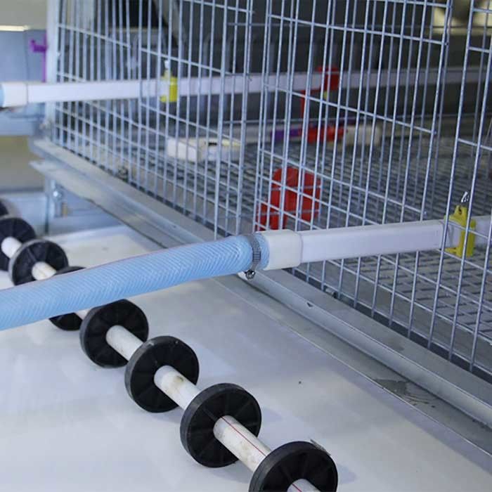 Galvanizli Çelik Kümes Hayvanları İçin Bir Kafes, Otomatik Merdiven Katlı Tavuk Kafesi
