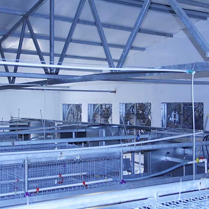 Pil Tavukçuluk Ekipmanları, Dayanıklı H Tipi 192 Bebek Tavuk Kafesi