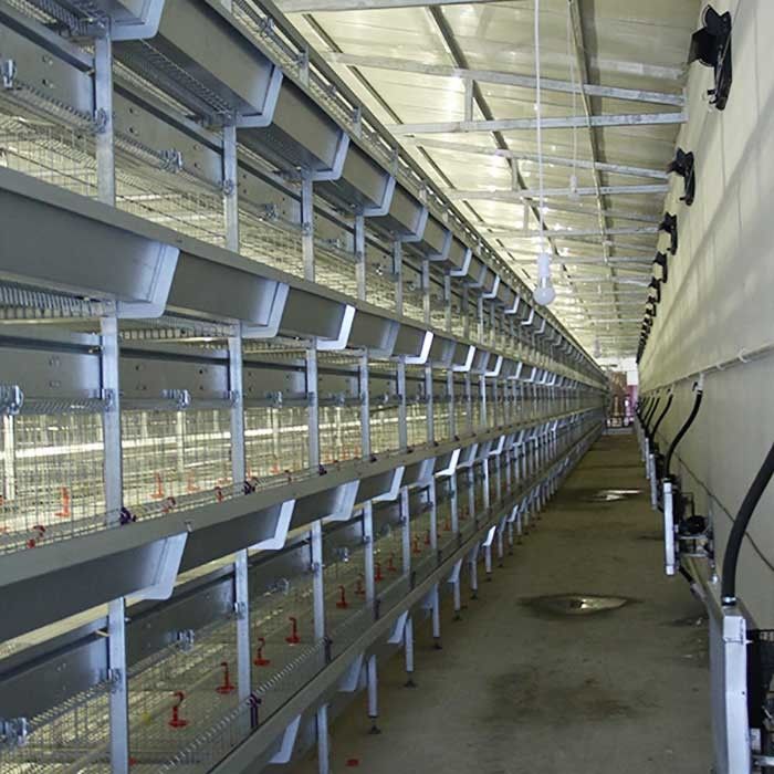 195 * 50 * 35 CM Civciv Brooder Kafes, Yüksek Verimli Kafes Katmanlı Tarım
