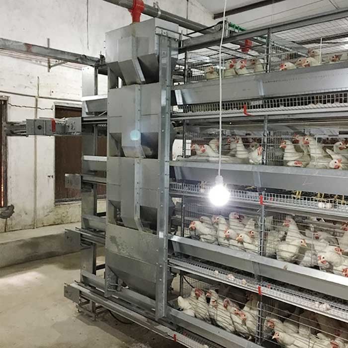 120 * 60 * 70 cm Kümes Tavuk Kafesi Otomatik Kontrol Emek Tasarrufu Çevre Dostu