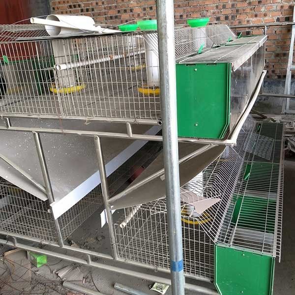 Otomatik Temizleme Sistemli Sıcak Daldırma Galvanizli 24 Hücre Çiftlik Tavşan Kafesi