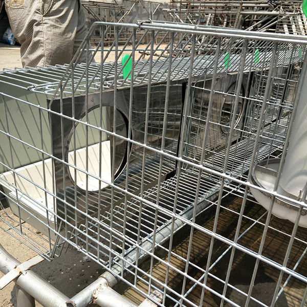 Kapalı Dişi Tavşan Kafesi, 2 Tavşan için Otomatik Kontrol Tavşan Kafesi
