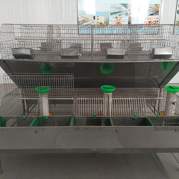 Q235 Çelik tel / Plastik Tavşan Kafesi, Pil ile Çalışan Lüks Tavşan Kafesi