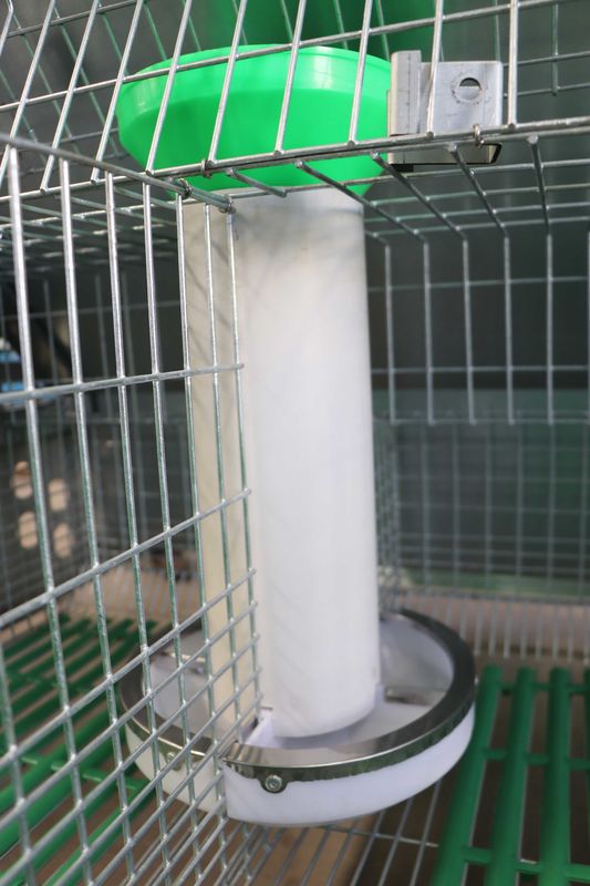 Yüksek Yetiştirme Verimli Tavşan Pil Kafesi, 50-80 Bebek Metal Tavşan Kafesi