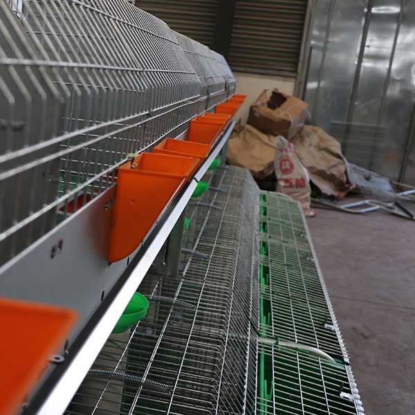 Büyük Otomatik Temizlik Çiftliği Tavşan Kafesi Kararlı Performans Kolay Bakım
