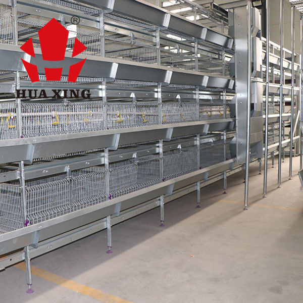 Otomatik Besleme Sistemli Broiler 96 Kuş 3 Katmanlı Katman Kafesleri