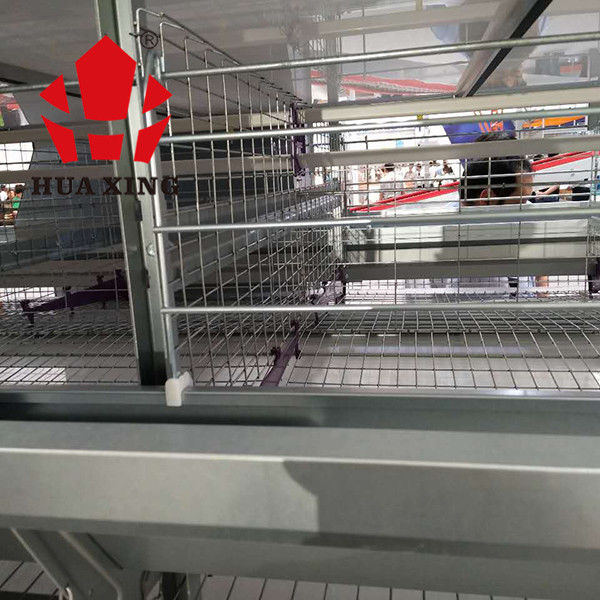 Otomatik Besleme Sistemli Broiler 96 Kuş 3 Katmanlı Katman Kafesleri