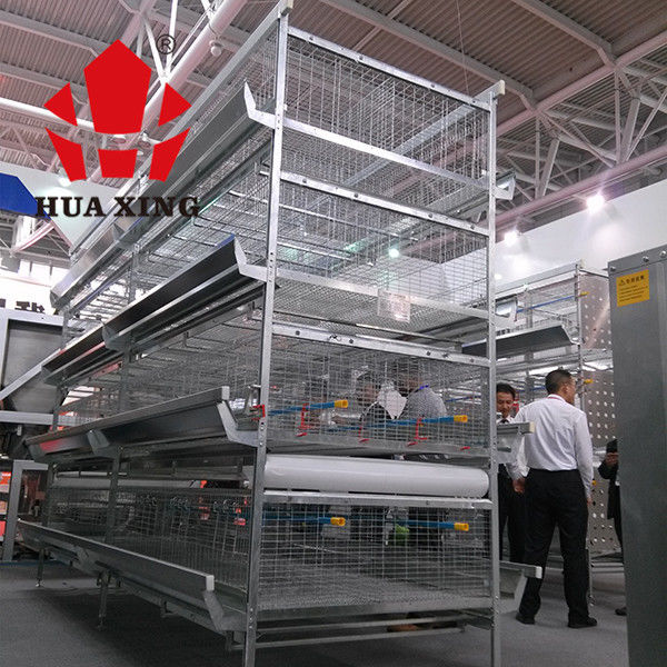Otomatik Besleme Sistemli Broiler 96 Kuş 3 Katmanlı Katman Kafesleri