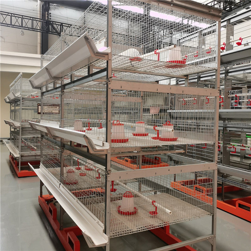 4 Katlı 8 Kapılı Broiler Tavuk Kafesi Sıcak Daldırma Galvaniz