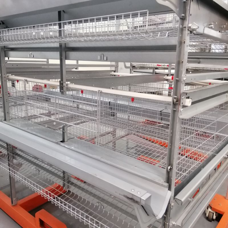 Yumurtalar için Dayanıklı Otomatik Ördek Kafesi Fabrikası Ticari Ördek Kafesi