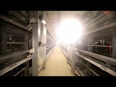 Fireproof Baby Chick Cage Auto Drinking System Corrosion Resisting