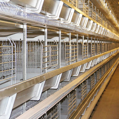 Dayanıklı Otomatik Tavuk Besleme Ekipmanları, İçme Sistemli Piliç Pilli Tavuk Kafesi